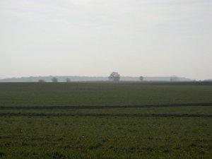 CTF-Seefeld 2008 206
